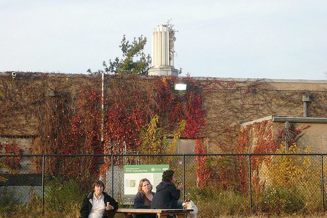 In this file photo, a local Greenpoint resident gives us the stink eye in the old Transmitter Park.